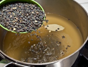 french-lentil-salad-1
