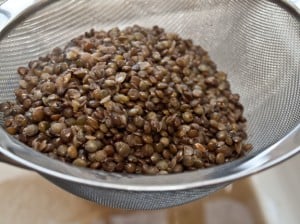 french-lentil-salad-4