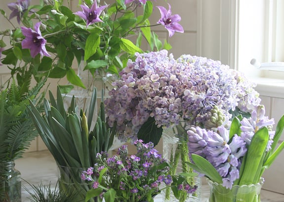 flowers-purple