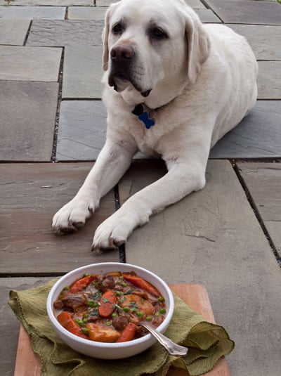 guinness-lamb-stew-miles