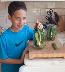 stuffing-pickles-in-jars