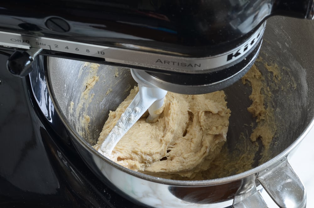 dough in cohesive mass