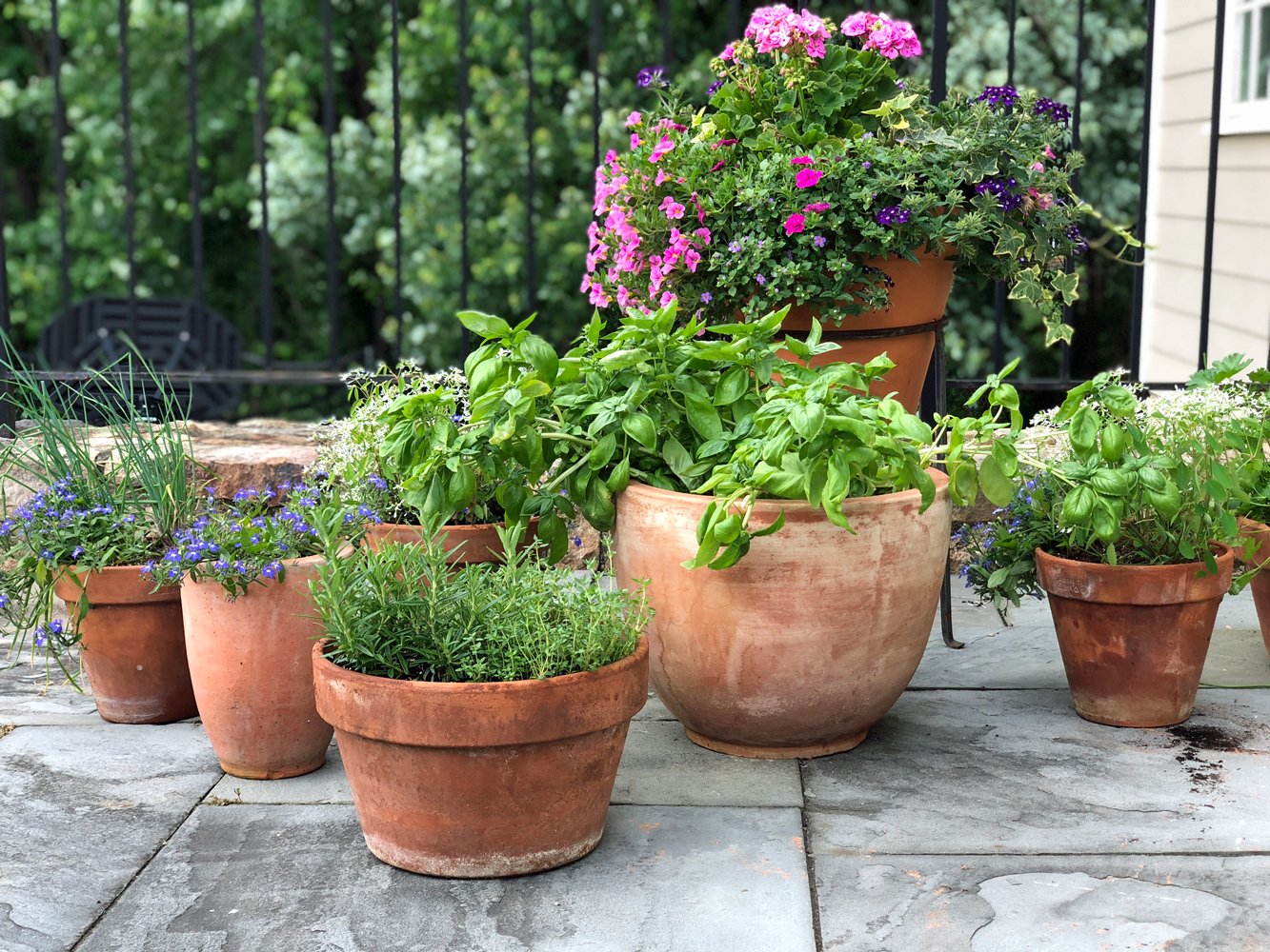 Pesto Sauce Recipe Once Upon a Chef