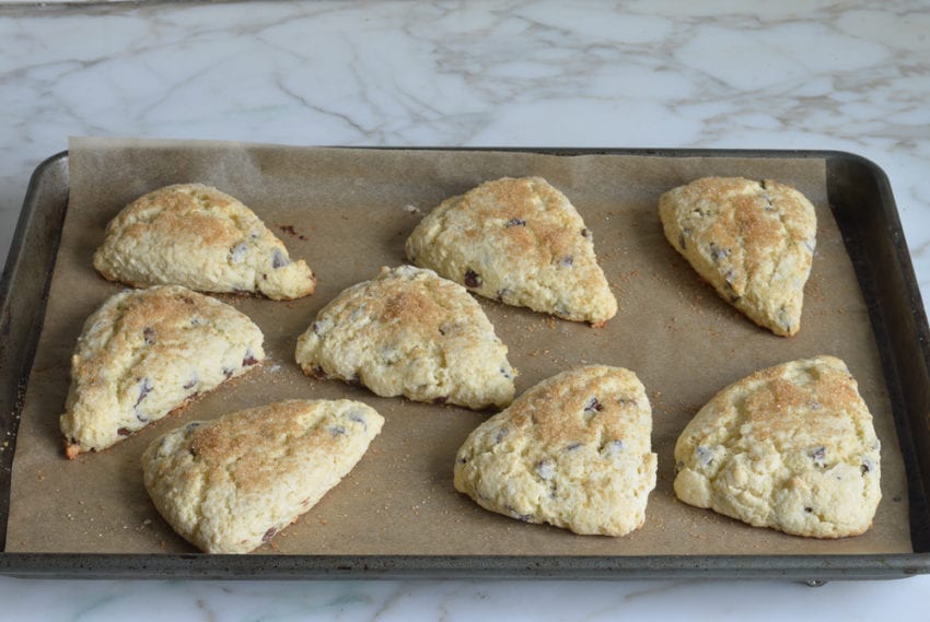 chocolate chip scones fresh out of the oven