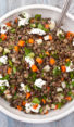 french lentil salad