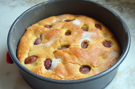 Harvest grape and olive oil cake in a springform pan.