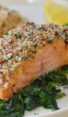 Baked salmon with honey mustard and pecan-panko crust on a plate with a fork.