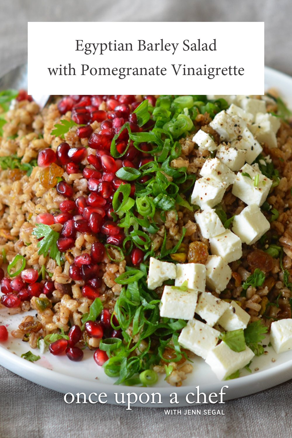 Egyptian Barley Salad with Pomegranate Vinaigrette Once Upon a Chef