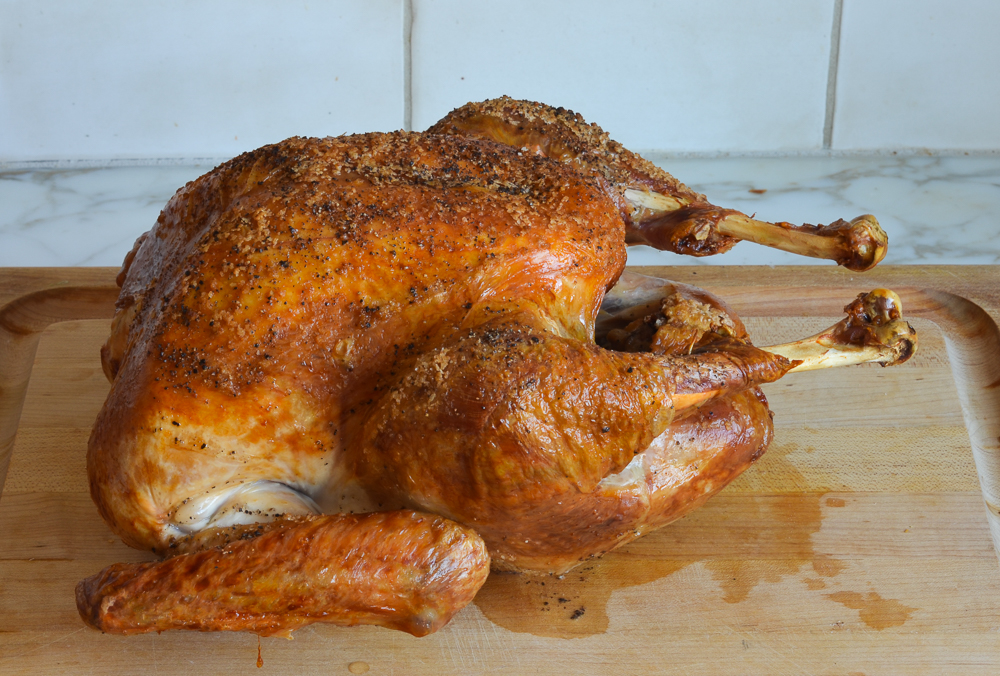 Easy High-Heat Roast Turkey with Gravy - Once Upon a Chef