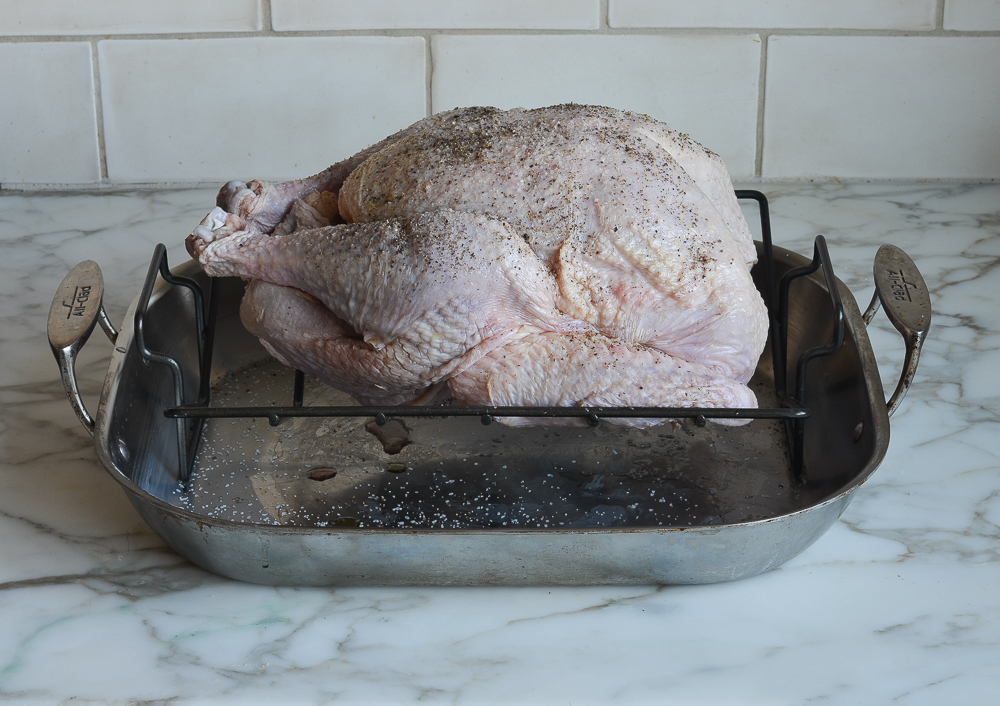 Seasoned turkey in a roasting pan.