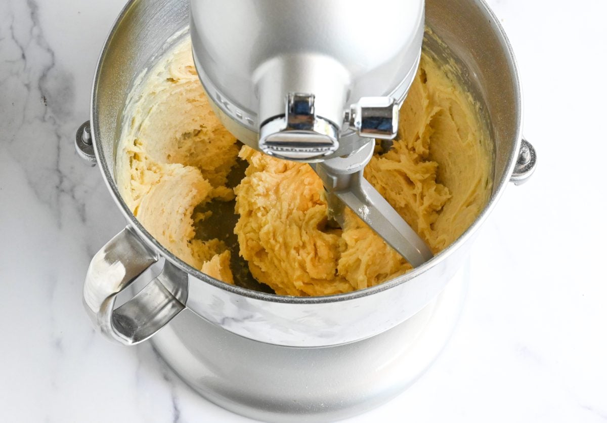 moistened vanilla cupcake batter