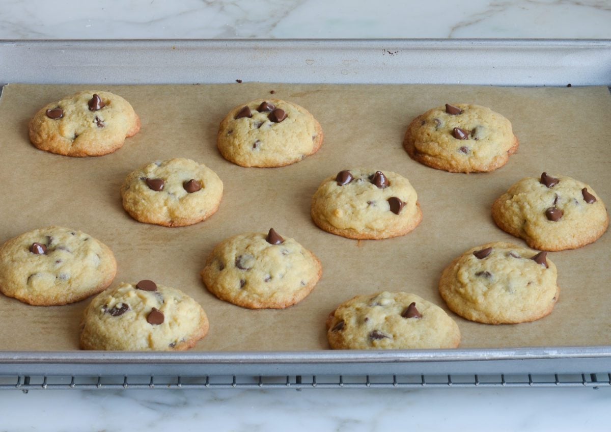 chocolate chip cookies fresh out of the oven