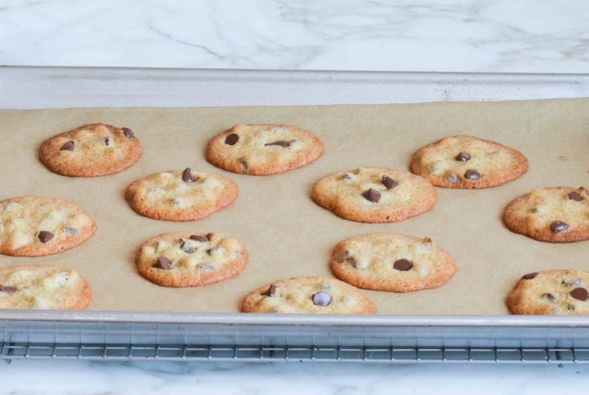 fresh baked crisp chocolate cookies