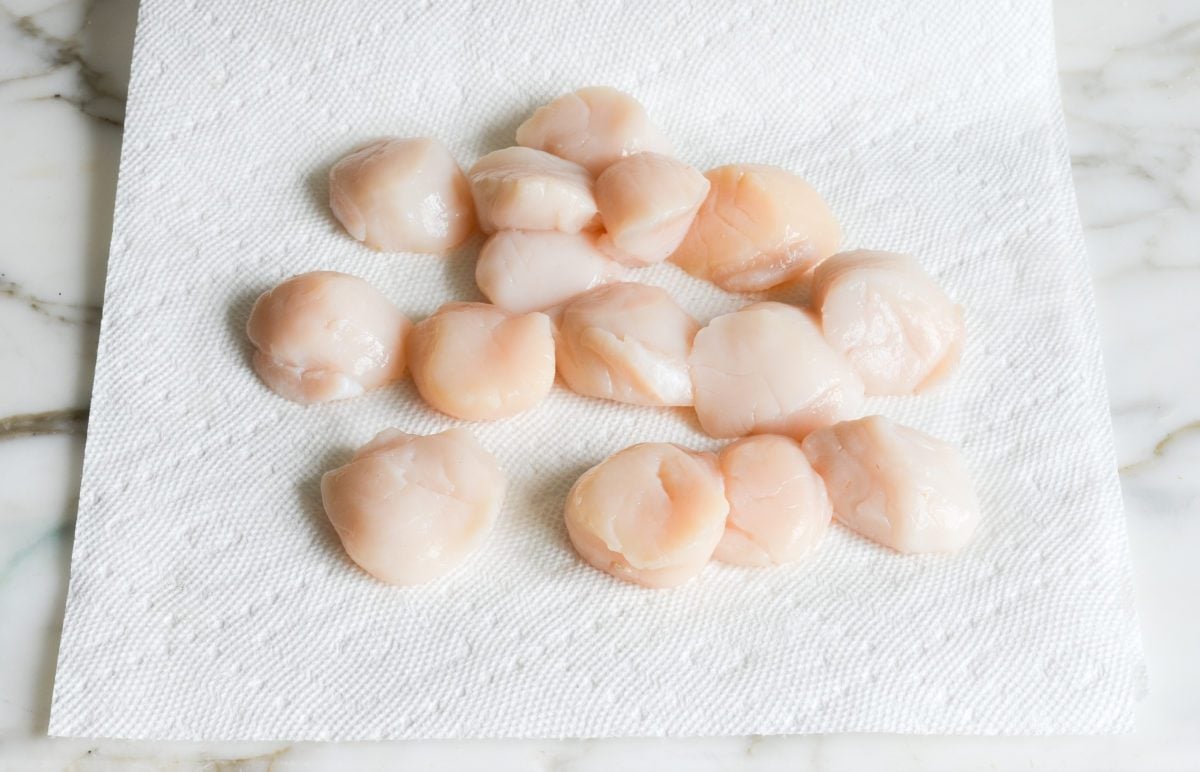 Scallops on paper towels.