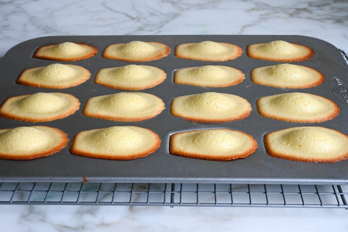 fresh baked madeleines cooling on rack