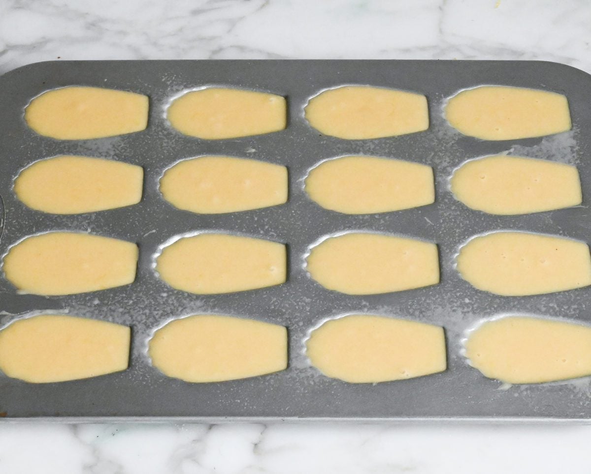madeleine batter in pan ready to bake