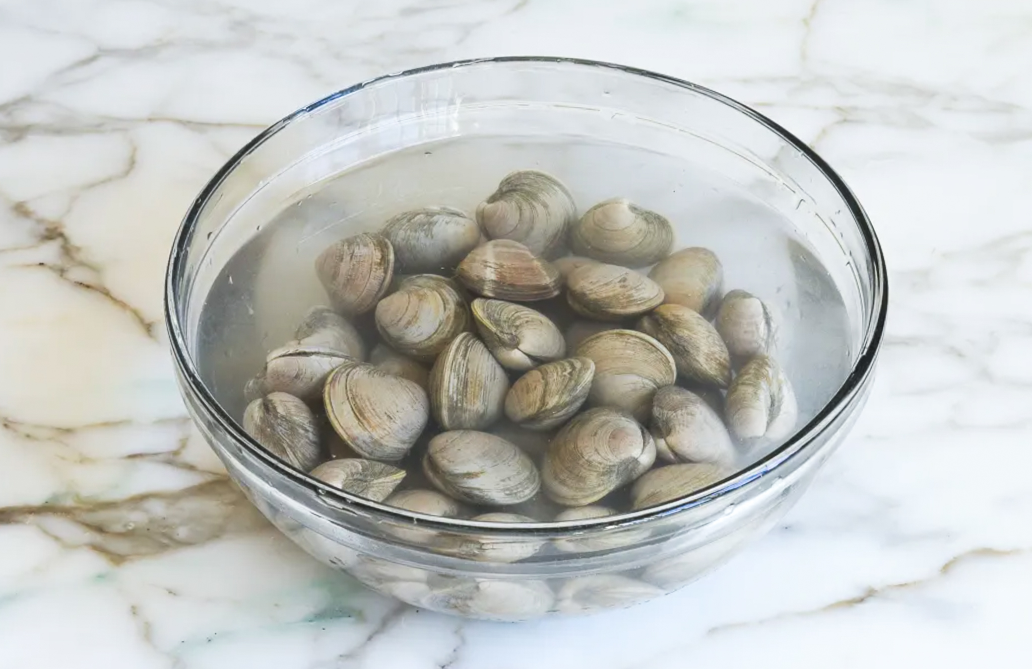 clams in water.