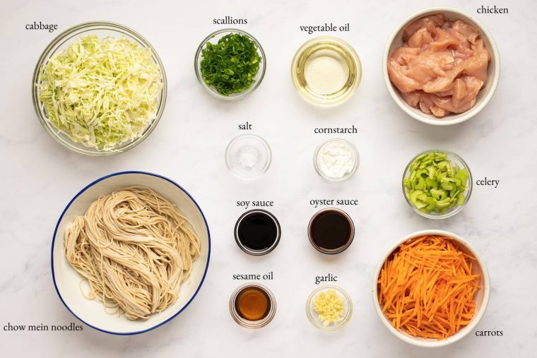 Chow mein ingredients including sesame oil, scallions, and oyster sauce.