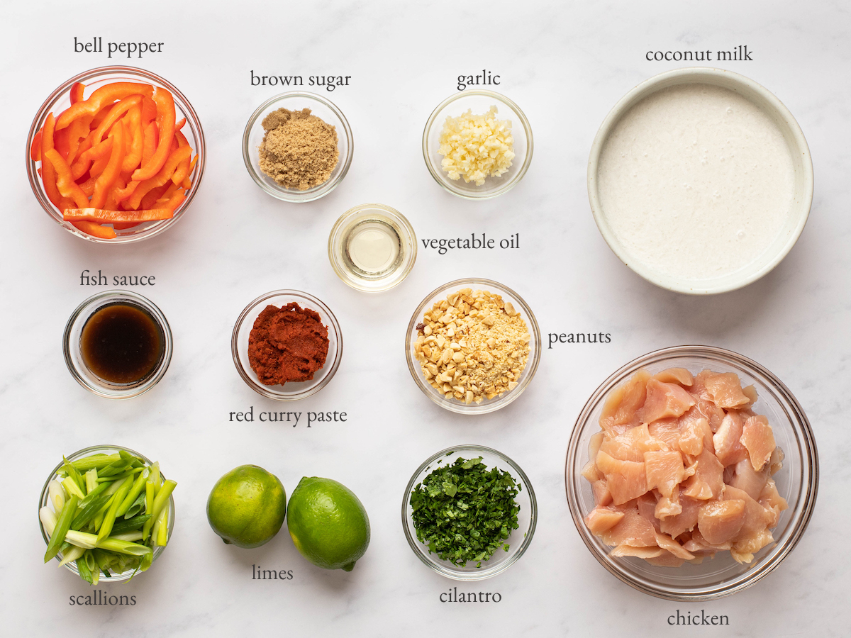 Curry ingredients including brown sugar, garlic, and coconut milk.