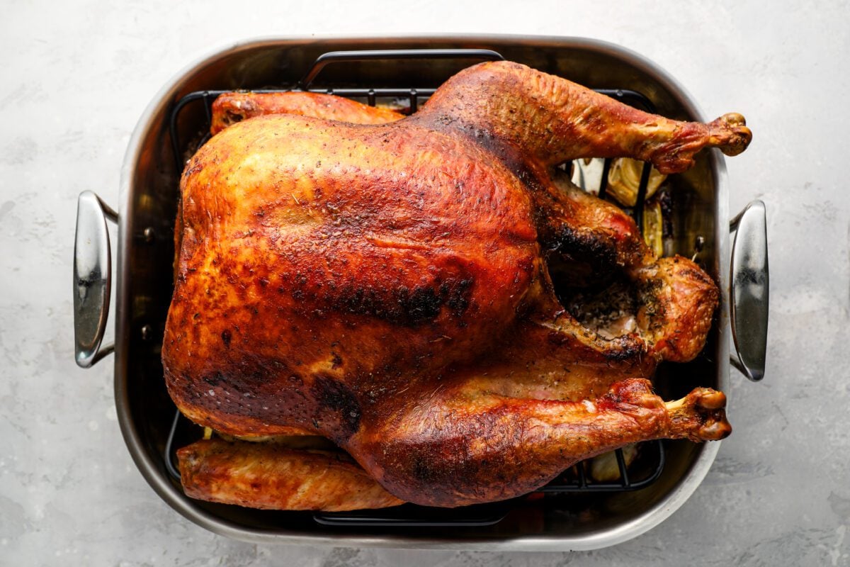 roasted turkey on rack in roasting pan