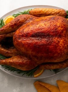 thanksgiving turkey on platter with cranberry sauce and gravy on the side