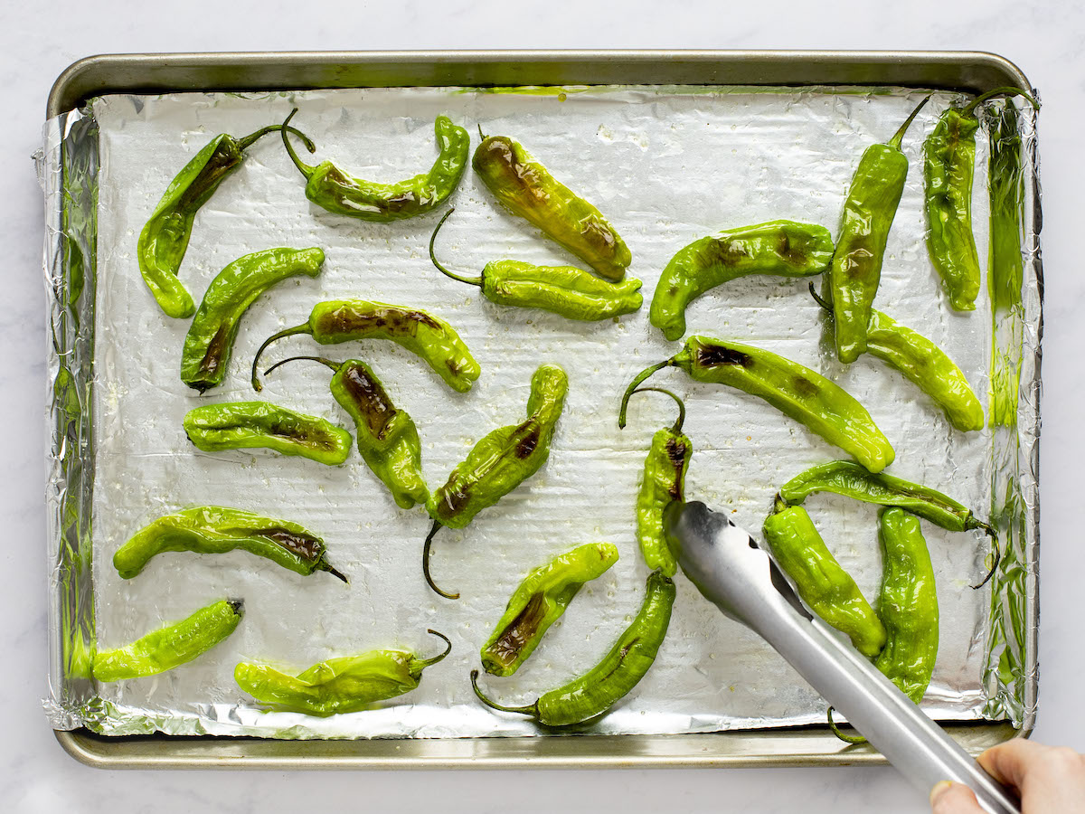 shishito peppers broiled and blistered on one side