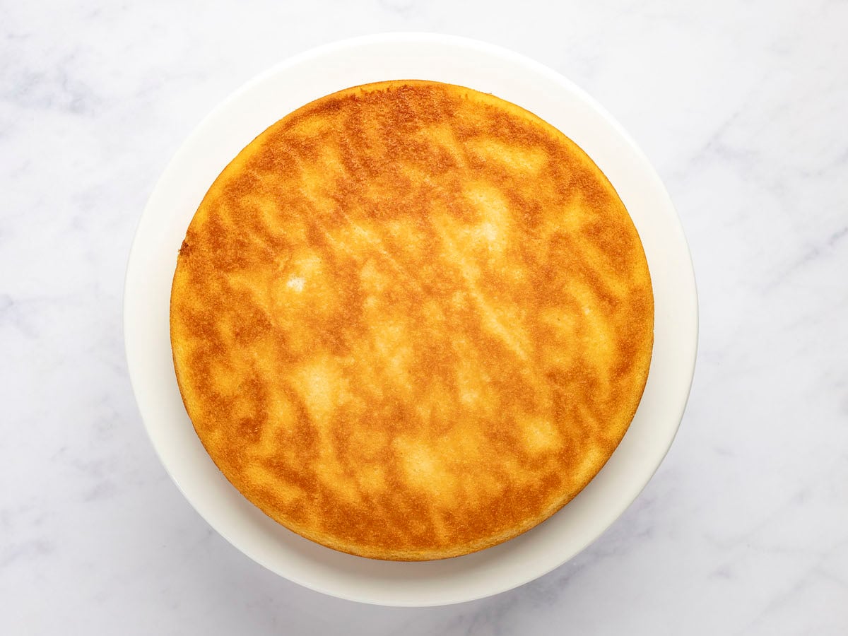 1 layer of unfrosted cake on white plate