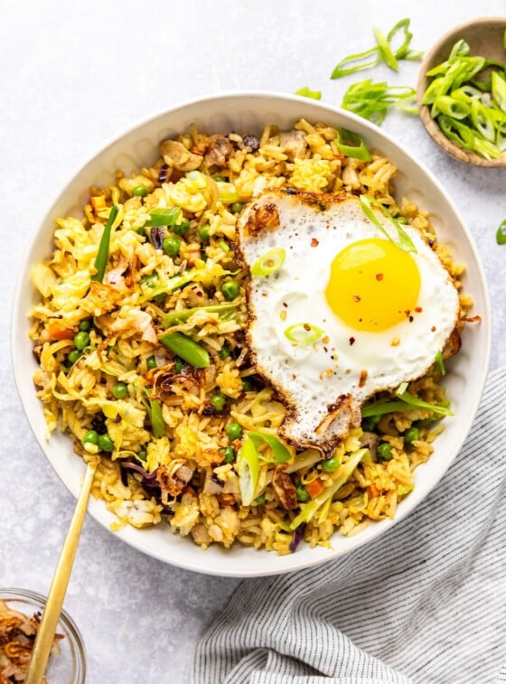 Bowl of Indonesian Fried Rice (Nasi Goreng Ayam)
