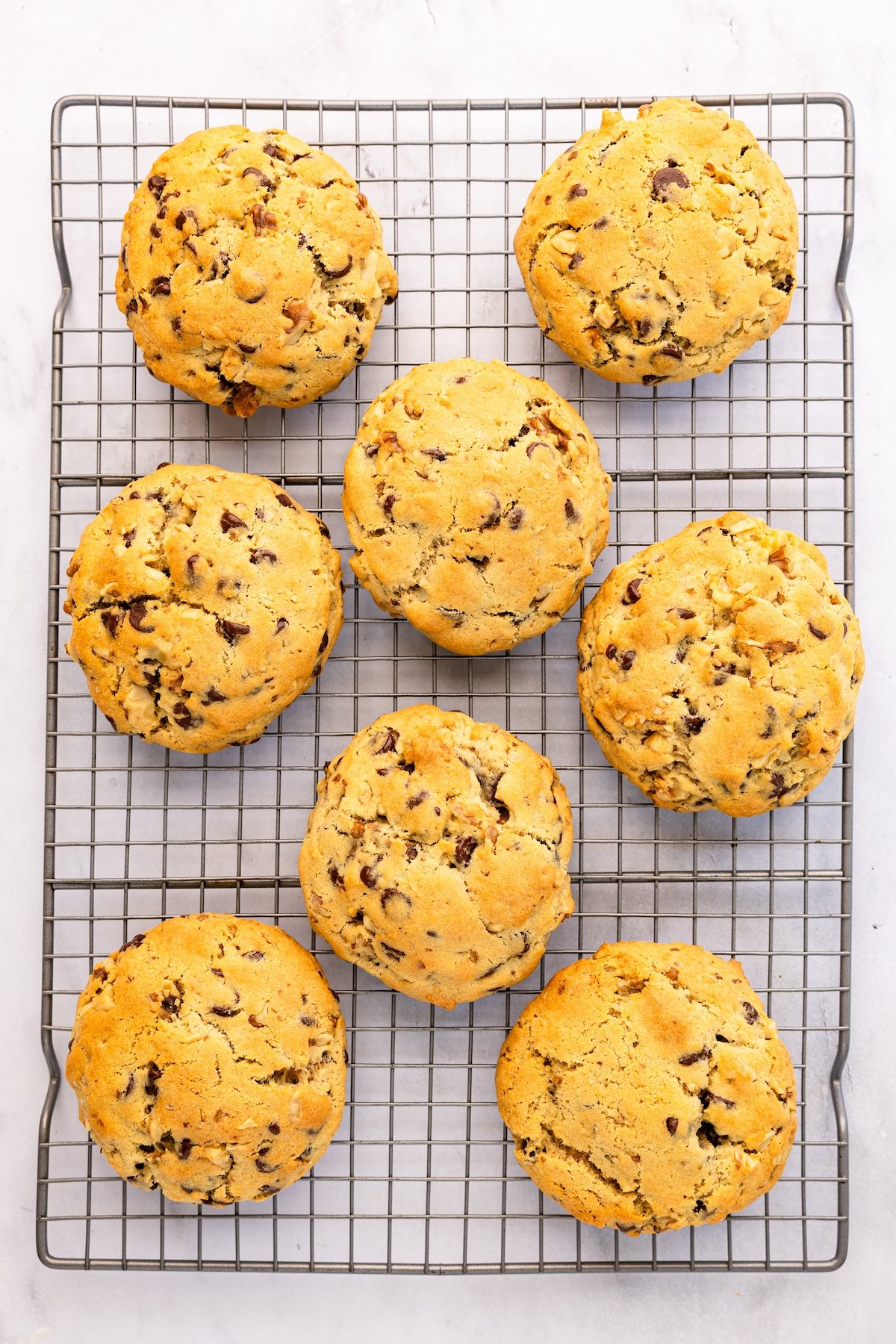 wire cooling rack with 8 cookies