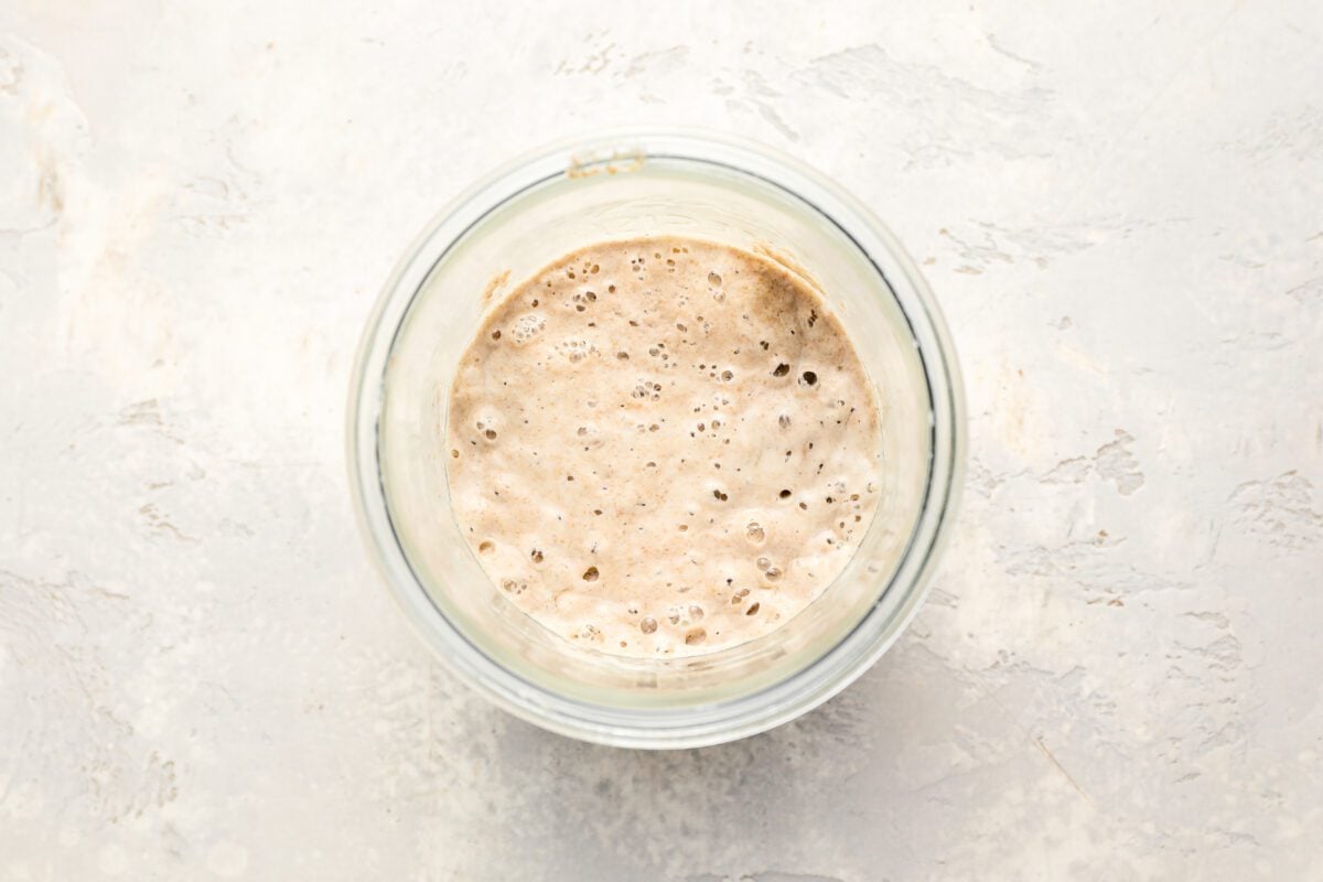 bubbly sourdough starter