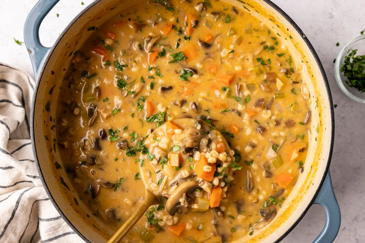 mushroom barley soup
